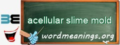 WordMeaning blackboard for acellular slime mold